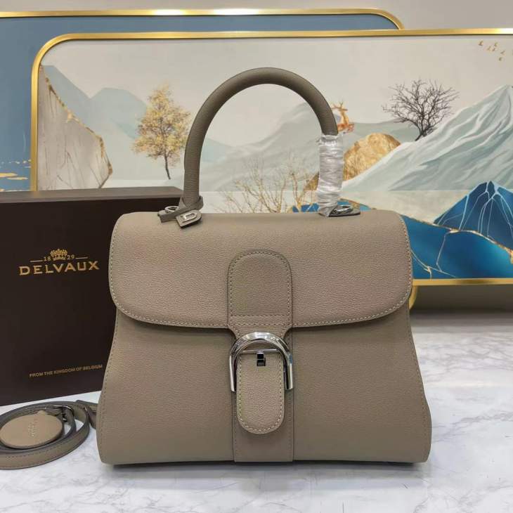 Picture of Delvaux Handbags _SKUfw176137222fw